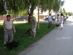 DSCN0524.JPG